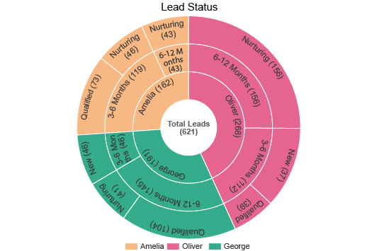 Sunburst Chart Complete Guide, Definition, Examples and How to create it.